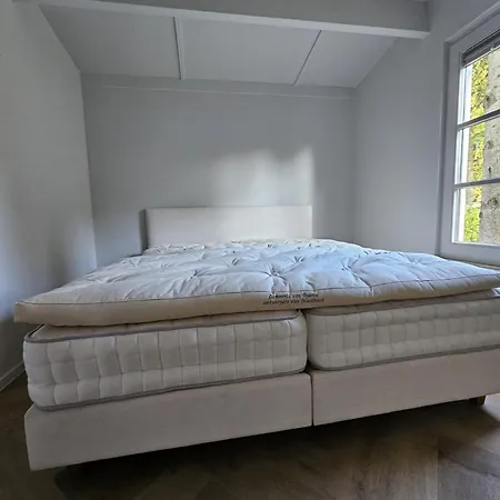 Dom wakacyjny Casa Do Cervo, Boshof 6 Luxe Met Overdekt Terras Ermelo