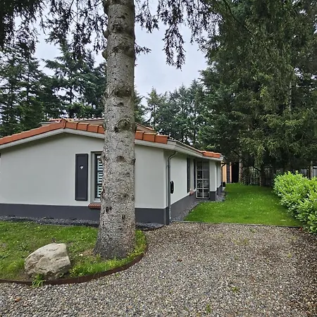 Dom wakacyjny Casa Do Cervo, Boshof 6 Luxe Met Overdekt Terras Ermelo