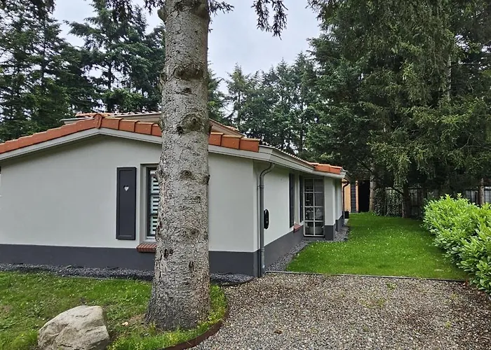 Dom wakacyjny Casa Do Cervo, Boshof 6 Luxe Met Overdekt Terras Ermelo